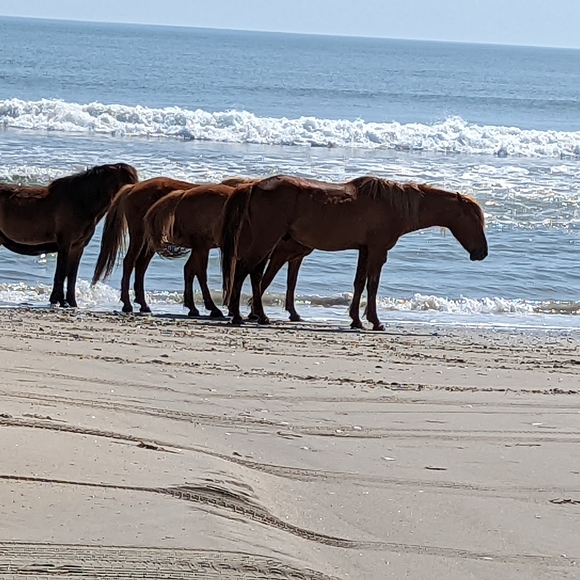 Meet your Posher, Jeff - Picture 5 of 7